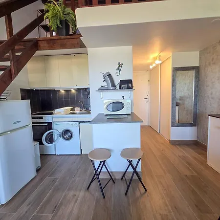 Apartman En Mezzanine, Parking - 4 Pers., Cap D'agde - Fr-1-880-97